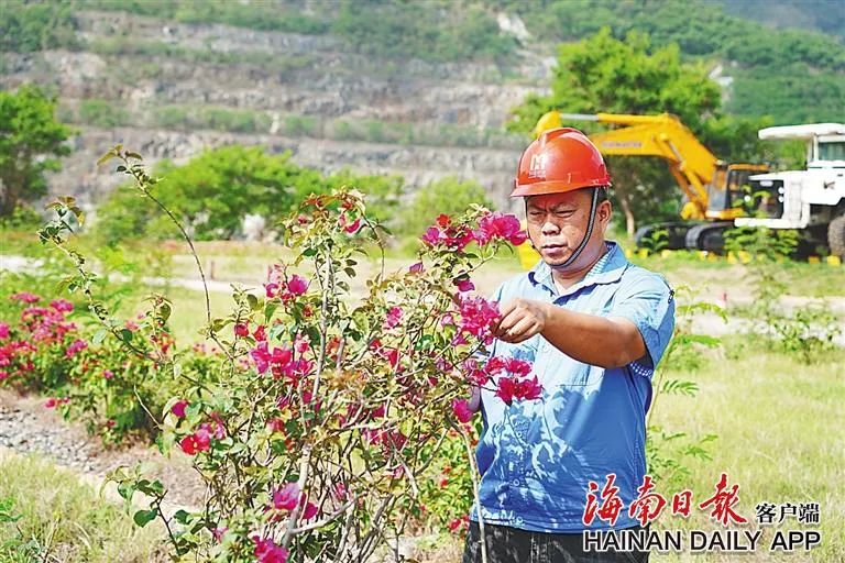 海南这座矿山，为何这么绿？4.jpg